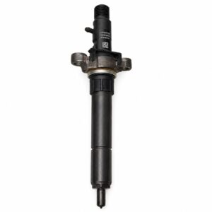 inyector delphi r03801d-r06001d-2-0-hdi-tecnodiesel-solano